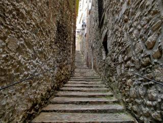 IMG_7947.JPG