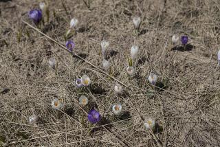 IMG_7150.JPG