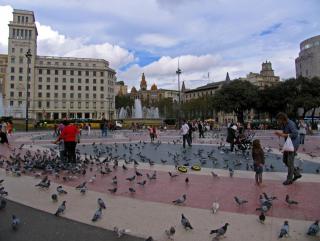 IMG_0754.JPG