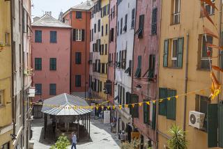 IMG_8723.JPG
