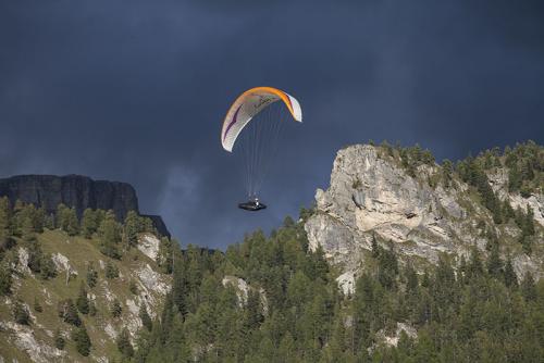 IMG_9946.JPG