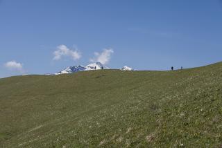 IMG_7013.JPG