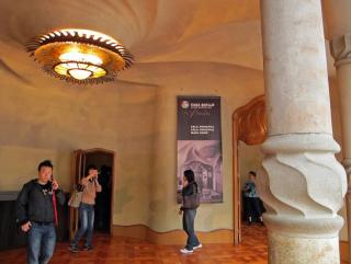 IMG_8951.JPG