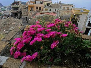 IMG_5780.JPG