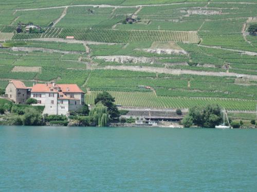 DSCN1789.JPG