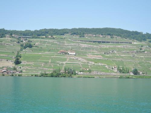 DSCN1784.JPG