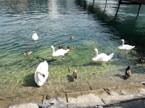 DSCN1238.JPG
