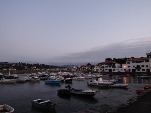 DSCN5625.JPG