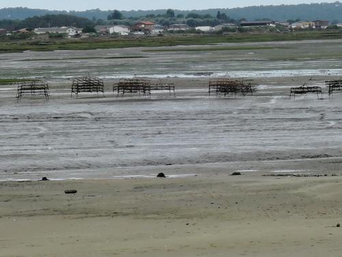 DSCN5066.JPG