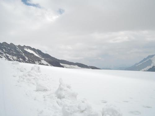 DSCN1554.JPG