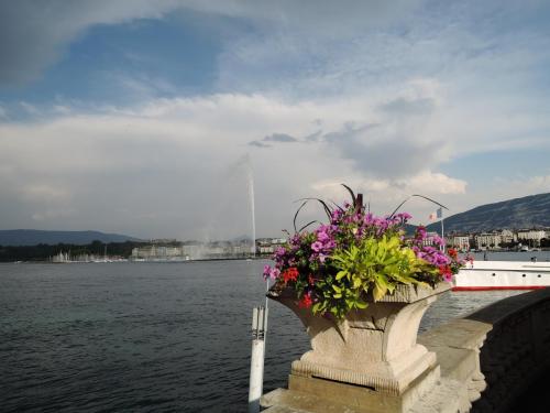 DSCN1901.JPG