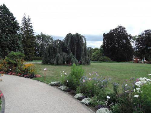 DSCN3611.JPG