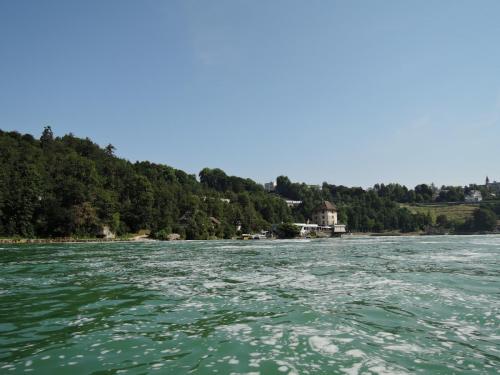 DSCN1185.JPG