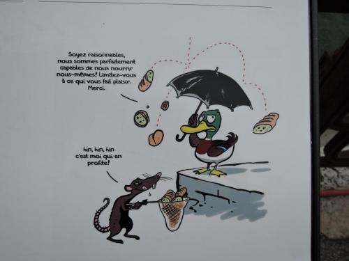 DSCN3630.JPG