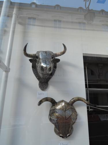 DSCN6309.JPG