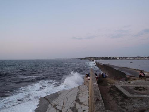 DSCN5622.JPG