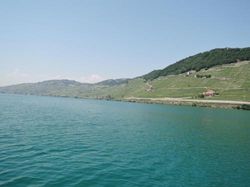 DSCN1803.JPG