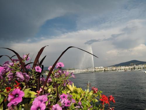 DSCN1903.JPG
