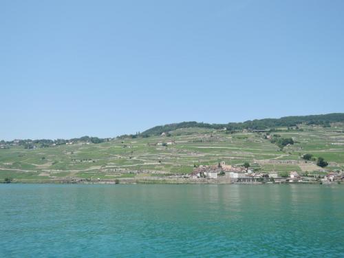 DSCN1786.JPG