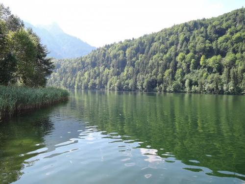 DSCN3337.JPG