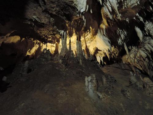 DSCN6010.JPG
