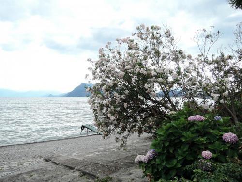DSCN2576.JPG