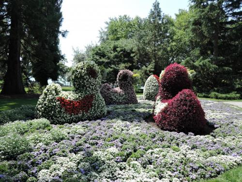 DSCN3072.JPG