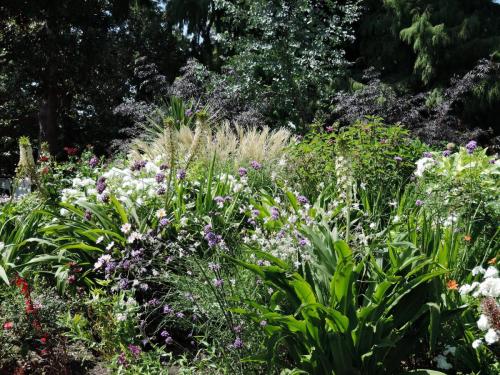 DSCN4691.JPG