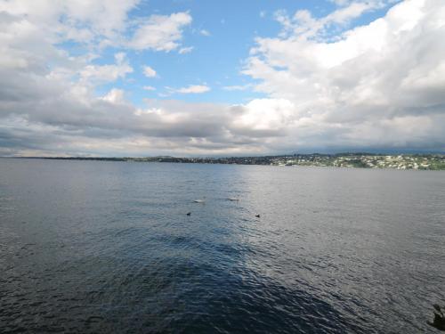 DSCN3627.JPG