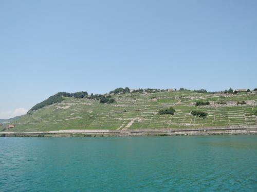 DSCN1797.JPG