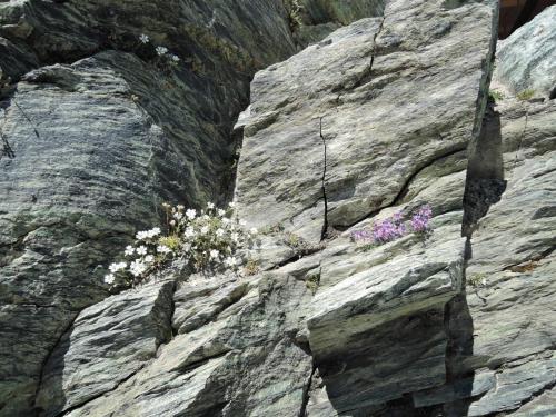 DSCN2368.JPG