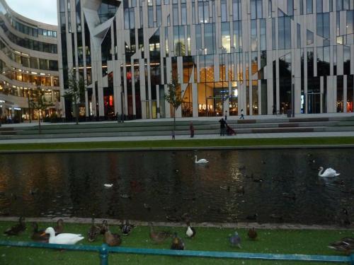 P1160618.JPG