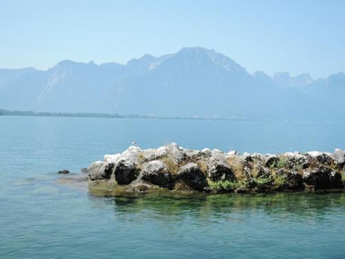 DSCN1736.JPG