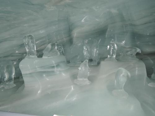 DSCN1507.JPG