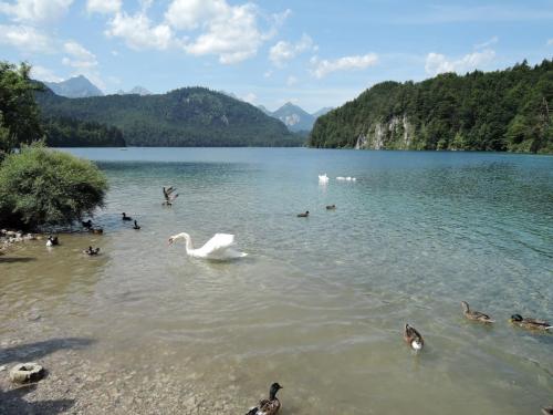 DSCN3379.JPG
