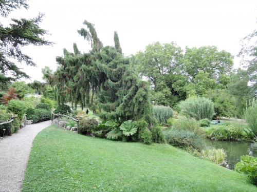 DSCN3555.JPG