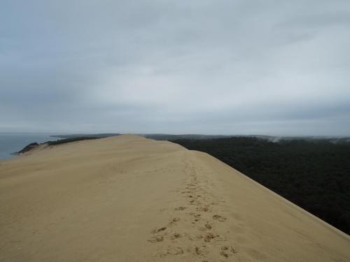 DSCN4910.JPG