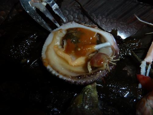 P1150608.JPG