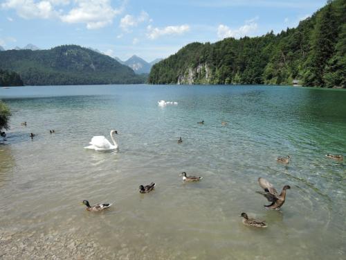 DSCN3380.JPG