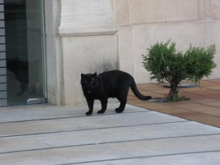 IMG_4743.JPG