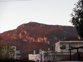 IMG_4742.JPG