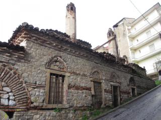 IMG_4704.JPG
