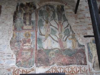 IMG_4669.JPG