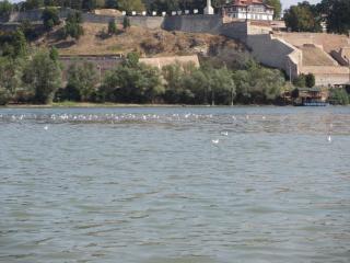 IMG_3914.JPG