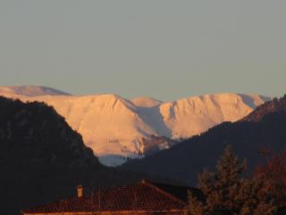 IMG_4745.JPG