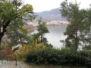 IMG_4723.JPG
