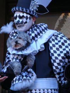 DSC00049.JPG