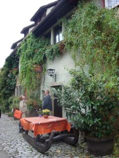 DSC08754.JPG