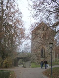 DSC08782.JPG