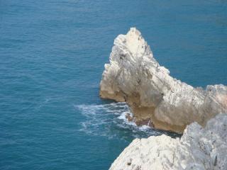 DSC01993.JPG